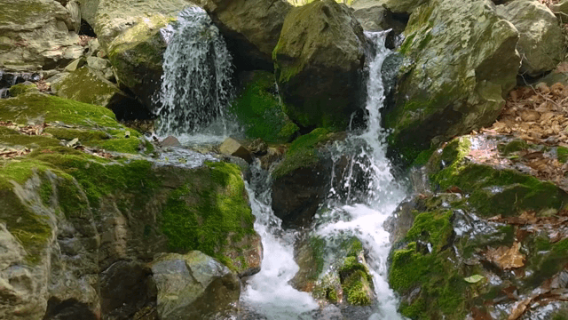 Small waterfall flowing over mossy rocks