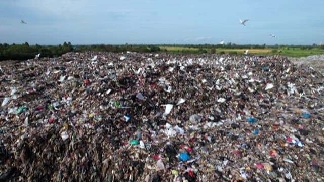 Birds flying over expansive landfill site