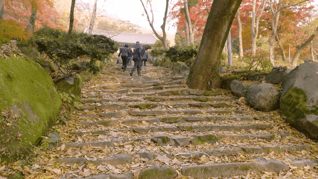 People walking up a stone path in autumn