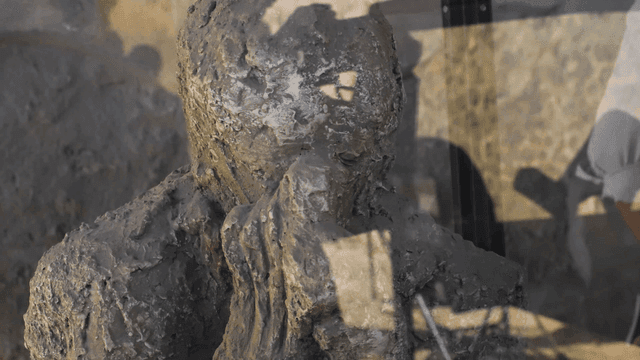 Plaster remains with elaborate details