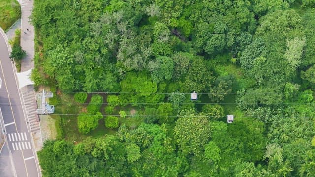 Cable cars over lush forest and coastline