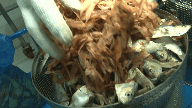 Adding dried fish and ingredients to a pot