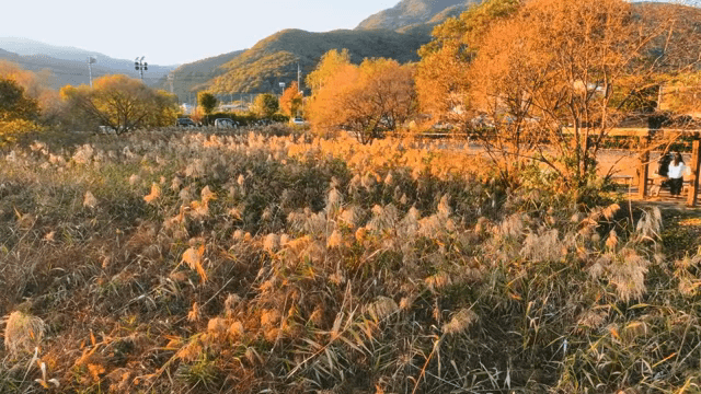 가까이에서 사람들이 쉬고 있는 가을 들판