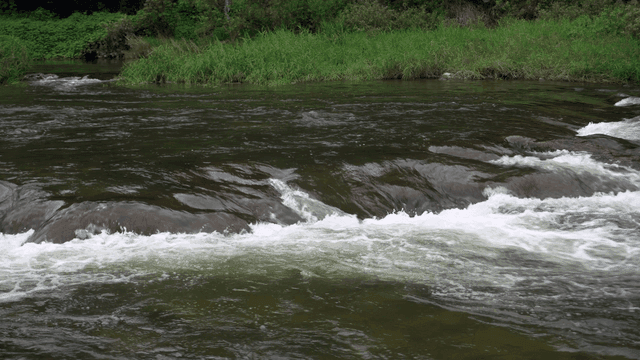 잔잔한 급류가 있는 흐르는 강