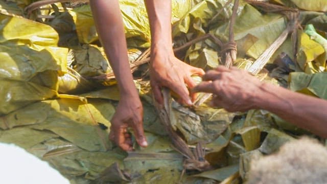 Hands preparing traditional Vanuatu food Laplap with banana leaves