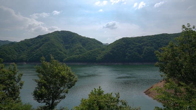 Serene Lake Surrounded by Lush Forest