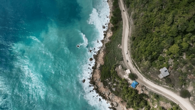 푸른 바다와 녹음이 우거진 해안 도로