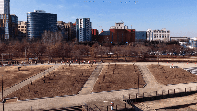 People jogging in city park