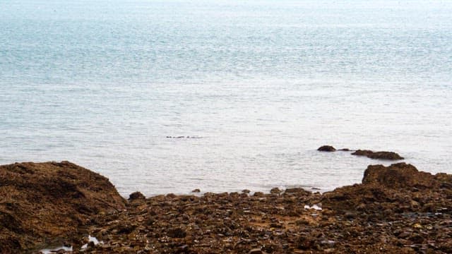 고요한 바다를 배경으로 한 한적한 바위 해안
