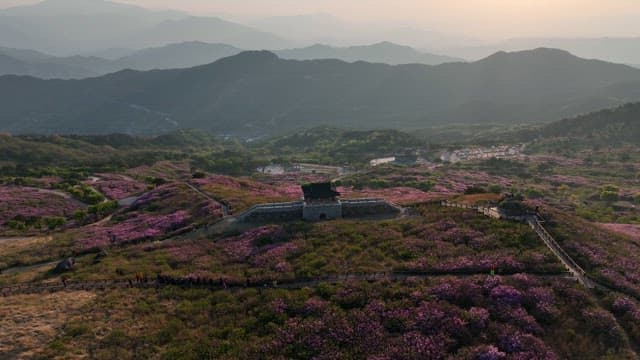 Historical Fortress on Hills with Pink Azaleas in Full Bloom