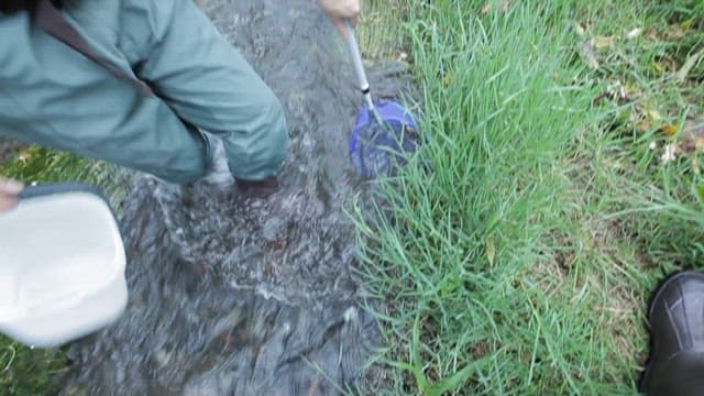 개울에서 물고기를 수집하는 사람