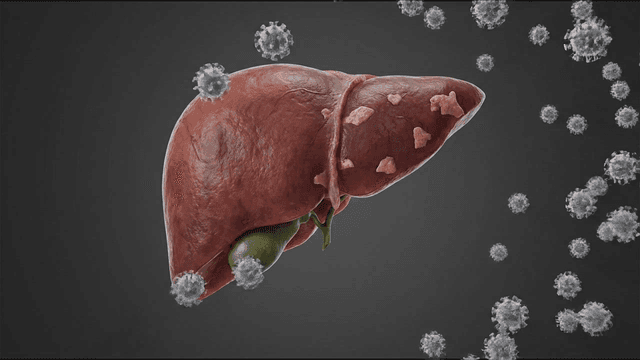 Liver with virus particles surrounding it