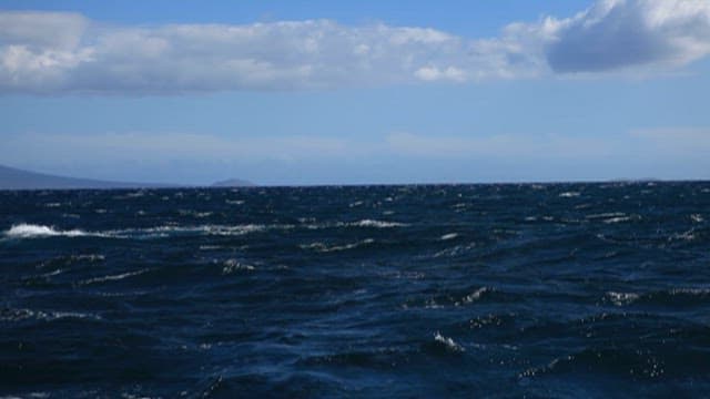 파도 속에서 나타난 고래 꼬리