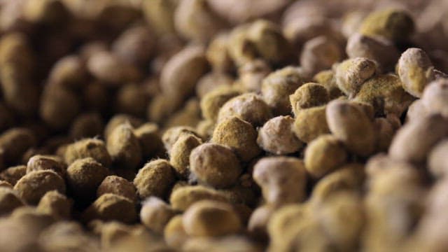 가득 쌓여 있는 콩알 메주의 자세한 표면