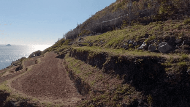 Terraced fields by the sea on a sunny day