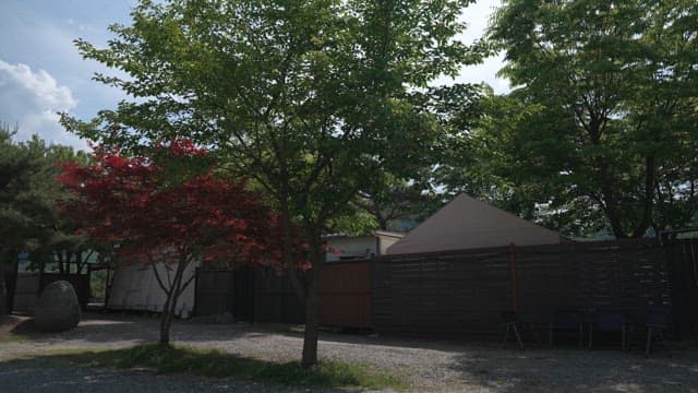 Tranquil Glampsite with Lush Trees and Tents