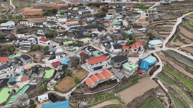 주변 들판이 있는 다채로운 마을