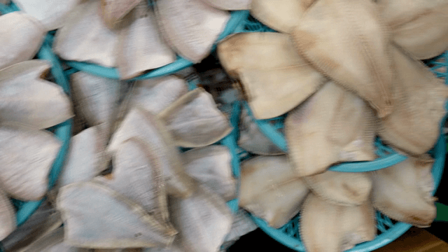 시장에 진열된 다양한 건어물