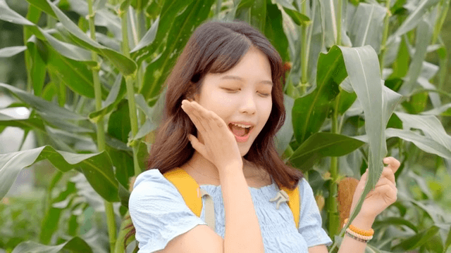 옥수수밭에서 즐거워하는 젊은 여성