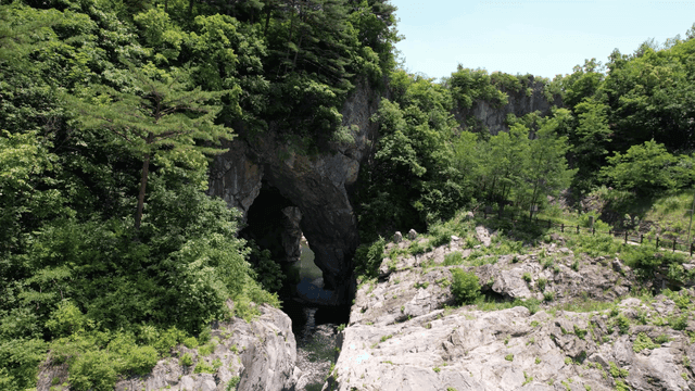 Valley stream flowing through cave beneath green forest