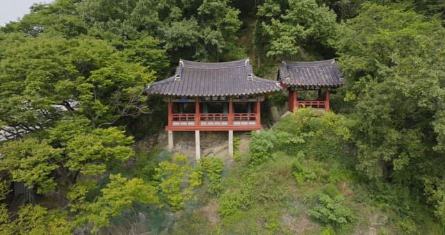 Traditional pavilion surrounded by lush forest