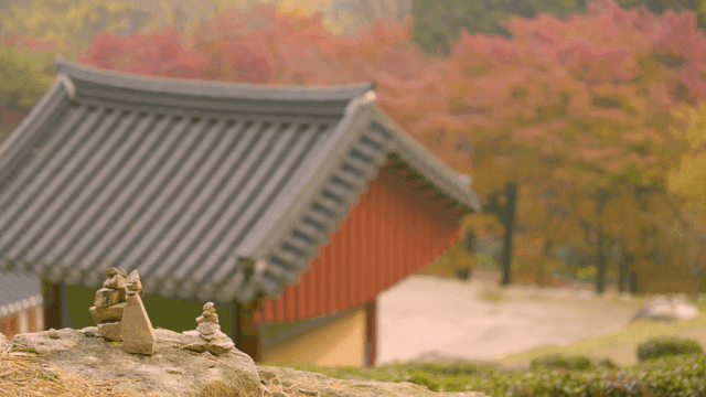 Autumn foliage and traditional Korean house roofs