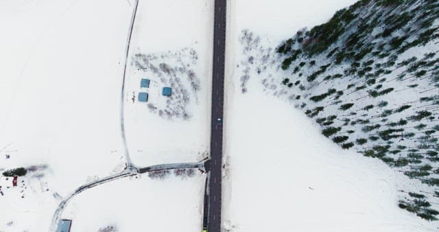 Snowy road through a winter forest