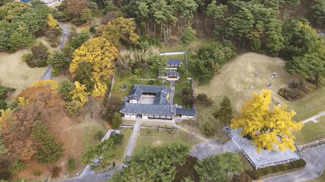Traditional Korean house surrounded by trees