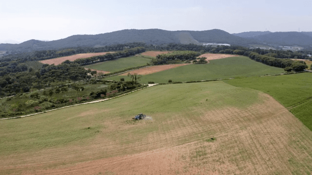 Tractor working on a vast green field