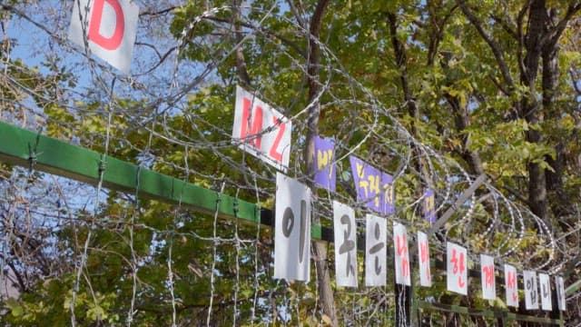 Forest with a Sign Indicating a Military Border