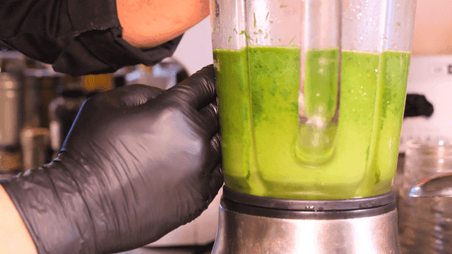 Blending green vegetables in kitchen