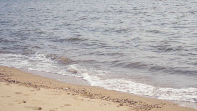 부드러운 파도가 모래 해안을 쓰다듬는 풍경