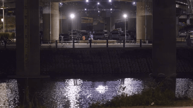 Riverside trail under the bridge