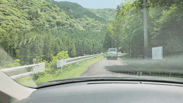 Driving through a scenic forest road