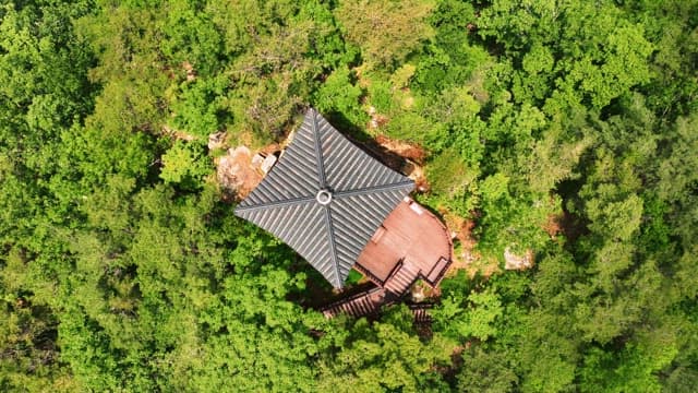 Traditional pavilion surrounded by lush forest
