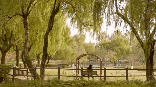 사람들이 휴식을 취하는 평화로운 공원