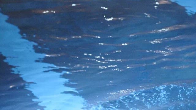 조용한 실내 수영장에서 수영하는 사람