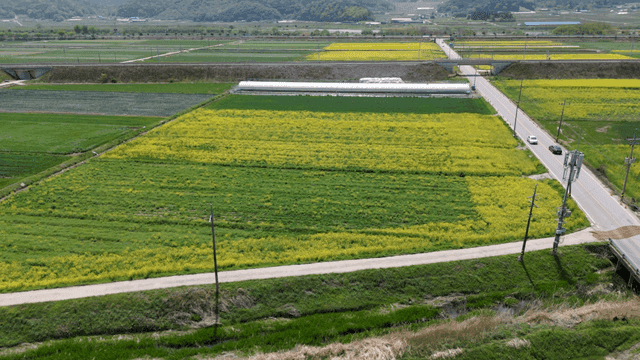 Expansive farmland with green fields