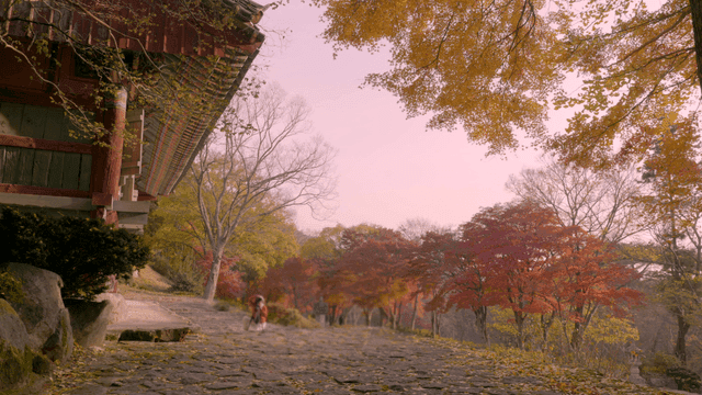 Traditional Korean house in quiet autumn forest