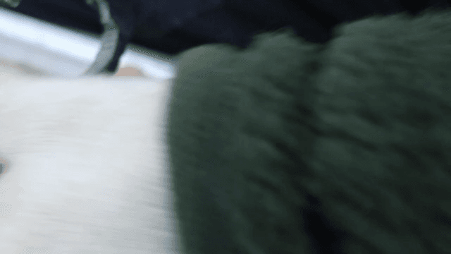 기구를 이용해서 호두를 까는 사람