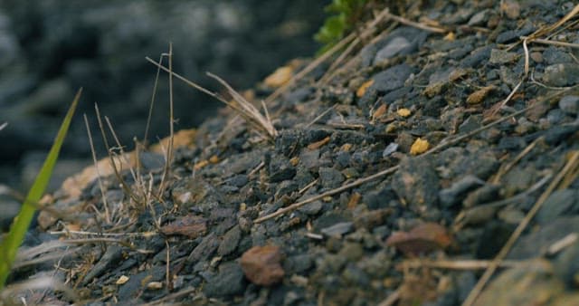 Exploring the Steep Rocky Coastal Landscape