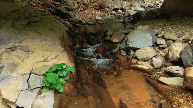 바위 사이로 흐르는 작은 시냇물