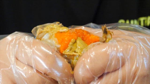 알과 살이 꽉 찬 먹음직스러운 간장게장