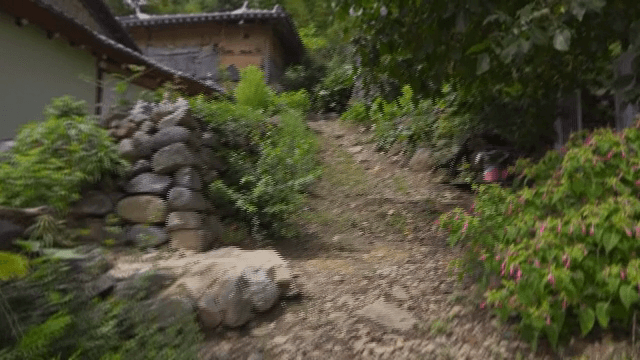 푸른 식물이 있는 전통 한옥