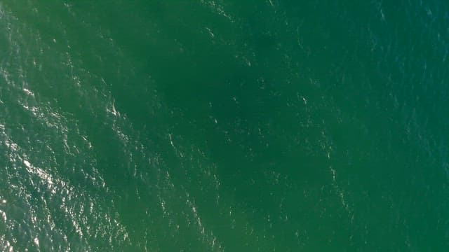 Serene Aerial View of a Coastal Landscape