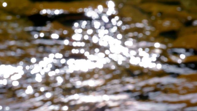 Water surface sparkling with sunlight reflecting on the flowing stream