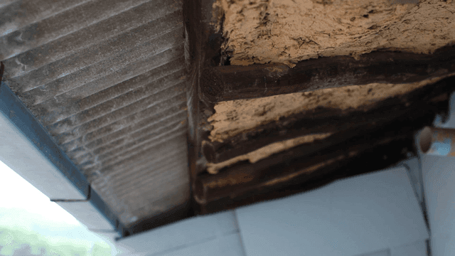 Rough old country roof