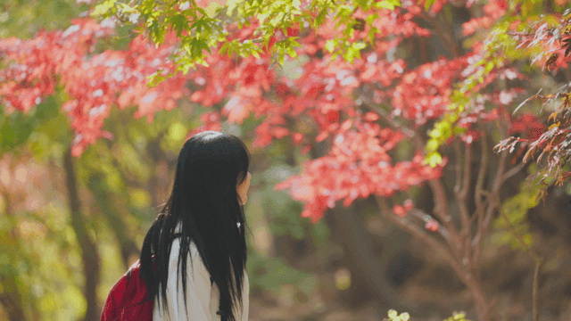 Young woman hiking up autumn slope with sunlight
