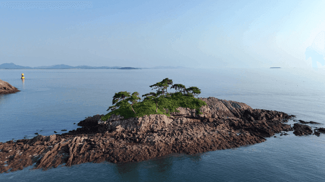 바다에 나무가 있는 작은 바위섬