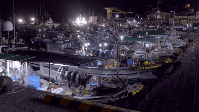 Fishing boats docked at a busy night port